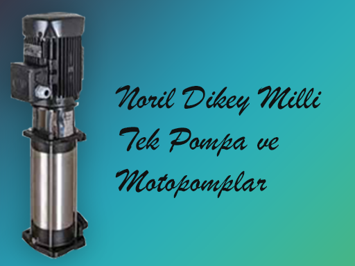 Noril Dikey Milli Tek Pompa ve Motopomplar