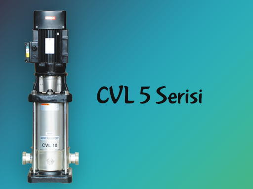 CVL 5