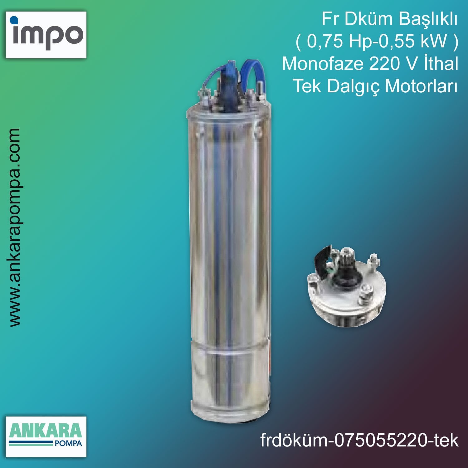 Fr Döküm Başlıklı ( 0,75 HP - 055 KW ) Monofaze 220 V İthal Tek Dalgıç Motorları